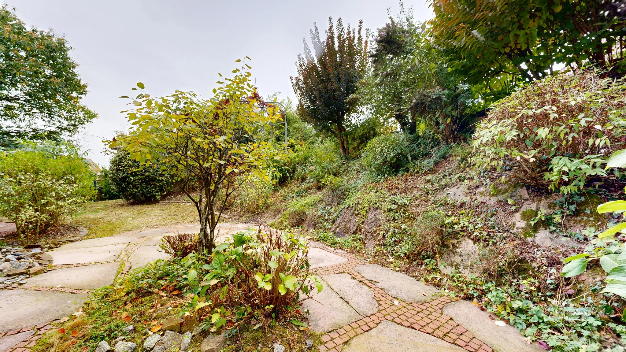 Gartenbereich mit Pflanzen und Terrassenfläche
